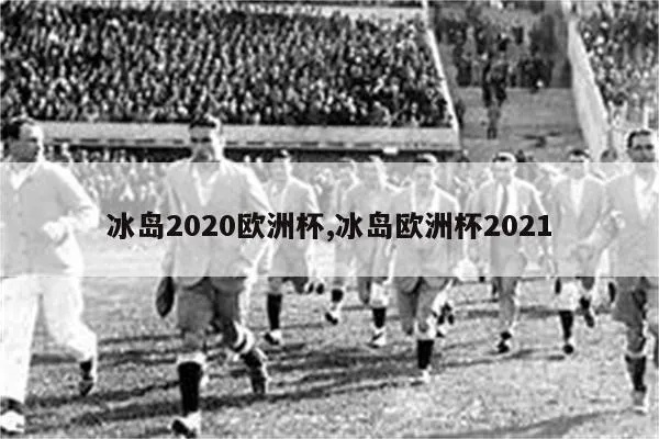 冰岛欧洲杯战术回顾视频 冰岛队2020欧洲杯-第3张图片-www.211178.com_果博福布斯